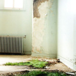 Growth (before)