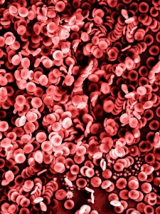 Blood Tests: Self Portrait (2014)
