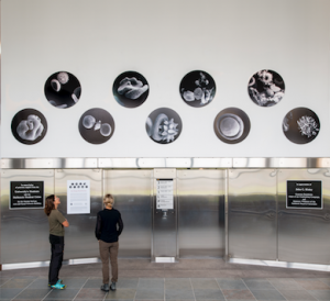 2021, Sculpture / Installation