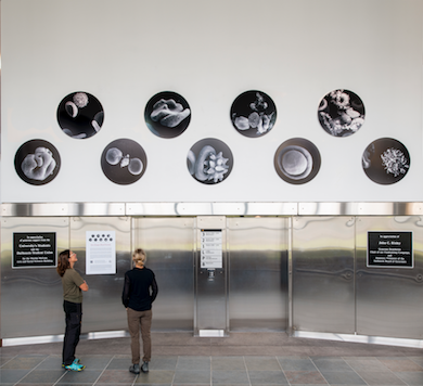 2021, Sculpture / Installation