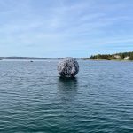 Dust Ball, 2021. Hubley Cove install view