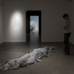 Flake, Installation view